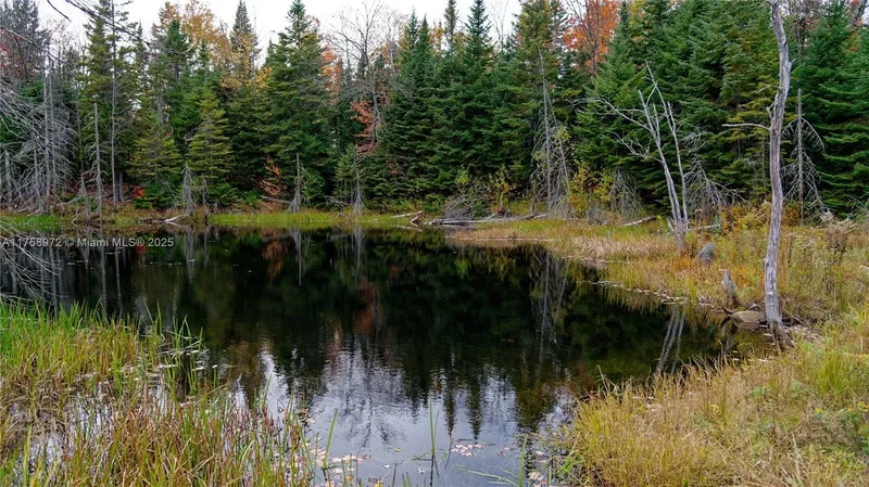 1150,10e Rang, Saint-Calixte, Quebec, Quebec, Canada. - Photo 41