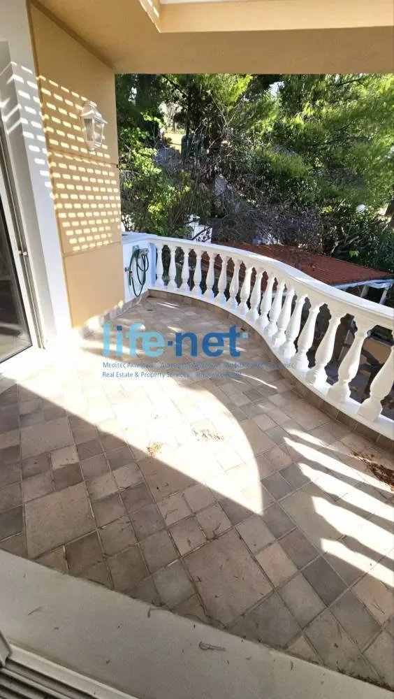 Gallery photo 10