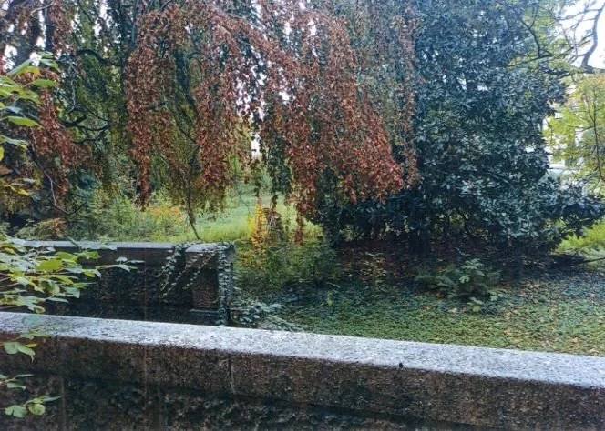 Exterior photo 9