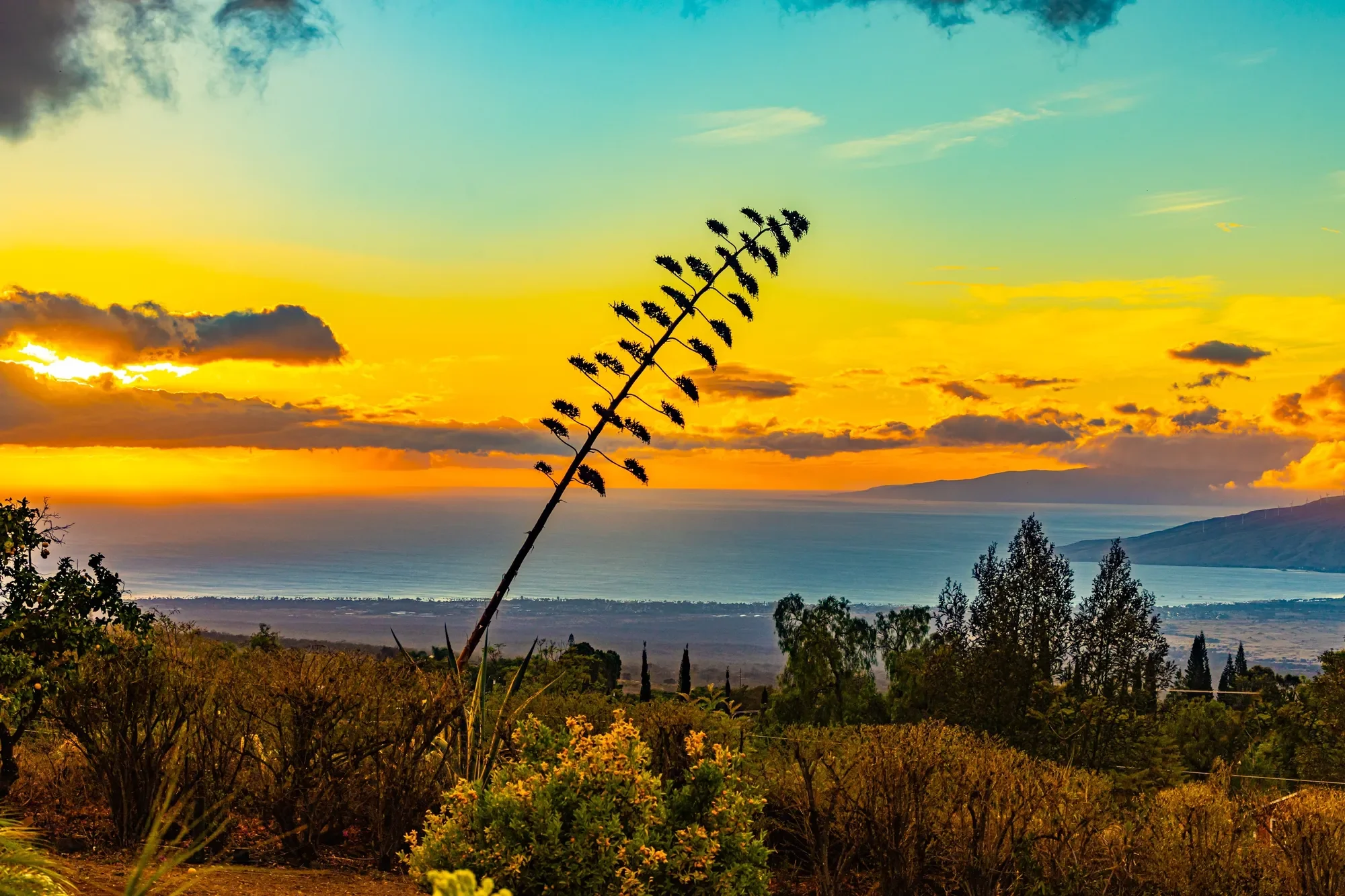 110 Kamehameiki Road, Kula, HI 96790, Kula, Hawaii, United States. - Photo 3