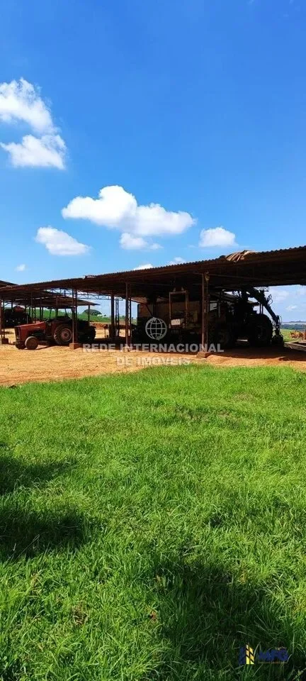 Paranapanema, State of São Paulo, Brazil. - Photo 9