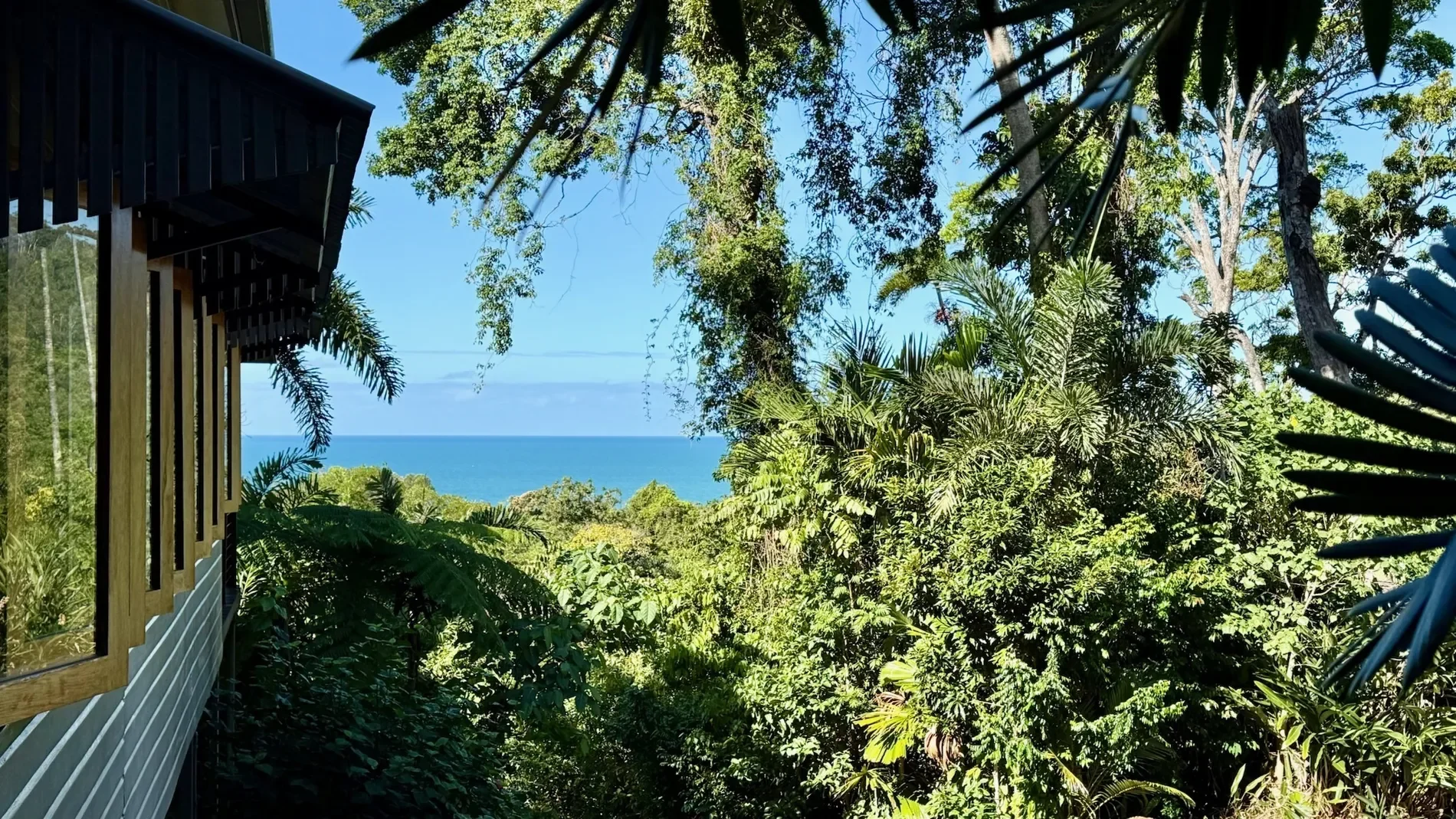 Cow Bay, Penda Cl, Cow Bay, Queensland, Australia. - Photo 17