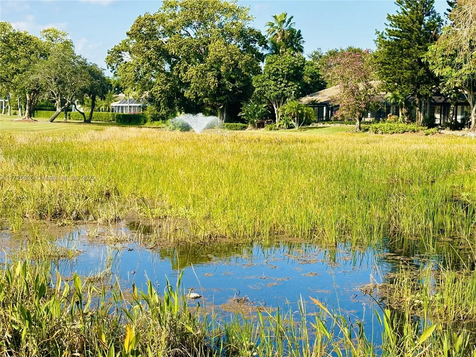 1 Balfour Rd E, Palm Beach Gardens, Florida, United States. - Photo 35