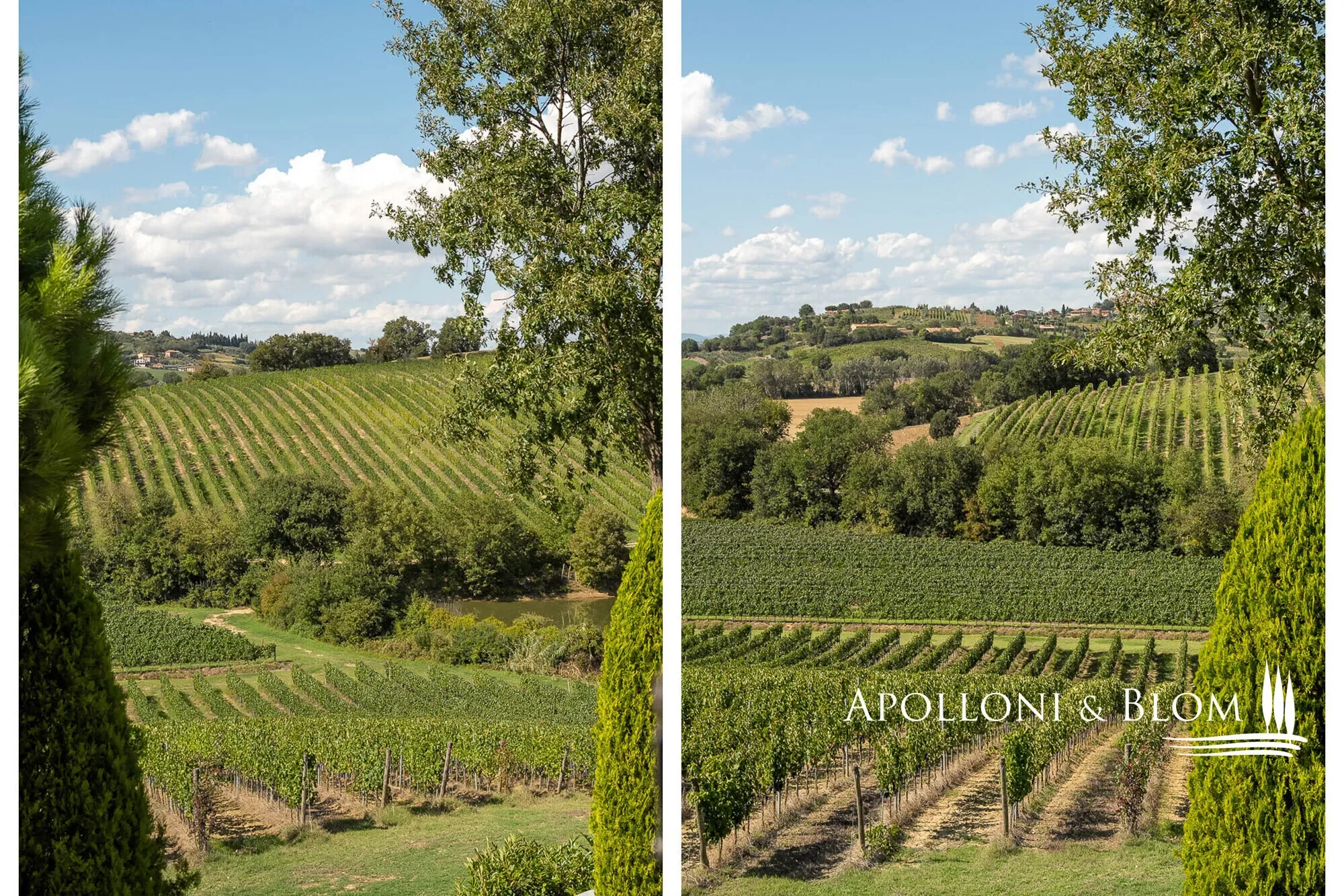 Via di Terra Rossa, Valiano, Tuscany, Italy. - Photo 15