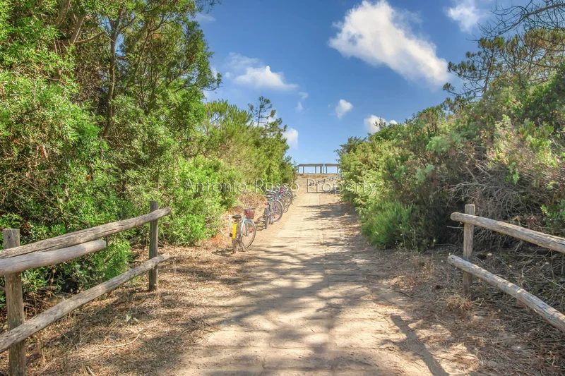 58043 Castiglione della Pescaia, Province of Grosseto, Italy, Tuscany, Italy. - Photo 13