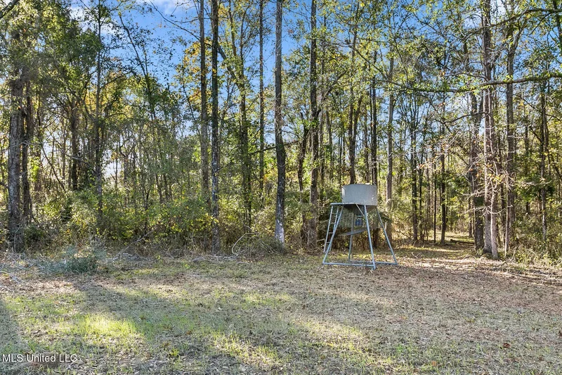 410 Cole Road, Mendenhall, MS 39114, Mendenhall, Mississippi, United States. - Photo 71