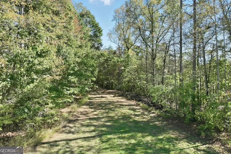Clermont, Georgia, United States. - Photo 38