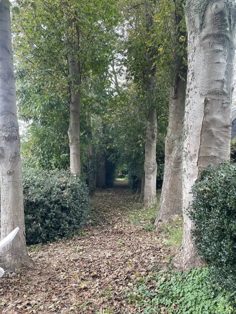 Goderville, Normandy, France. - Photo 13