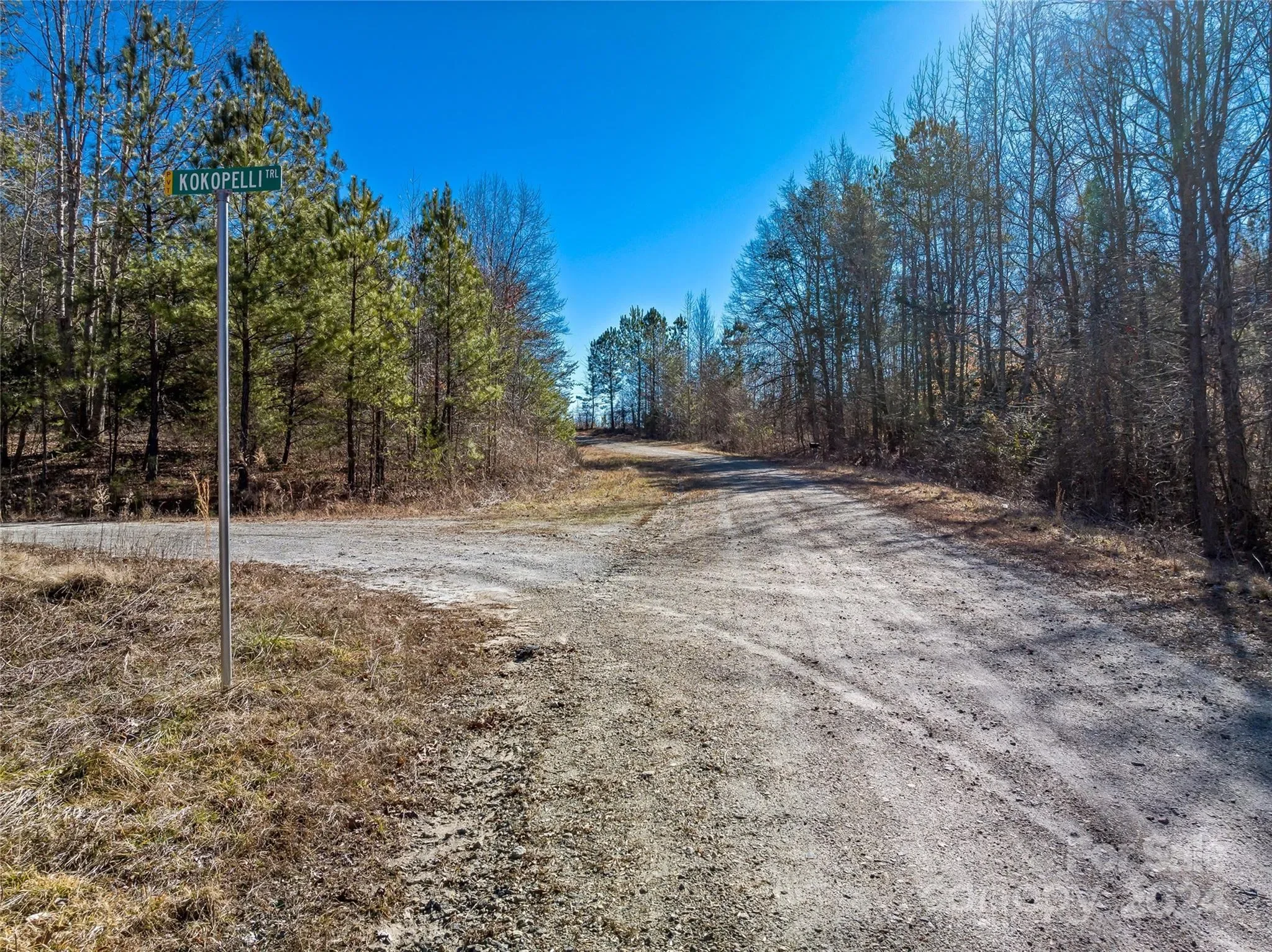 99999 Sunnyview Drive, Rutherfordton, NC 28756, Rutherfordton, North Carolina, United States. - Photo 10