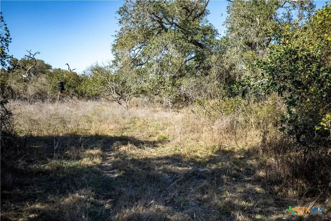 6498 Hwy 35 N, Rockport, TX 78382, Rockport, Texas, United States. - Photo 28