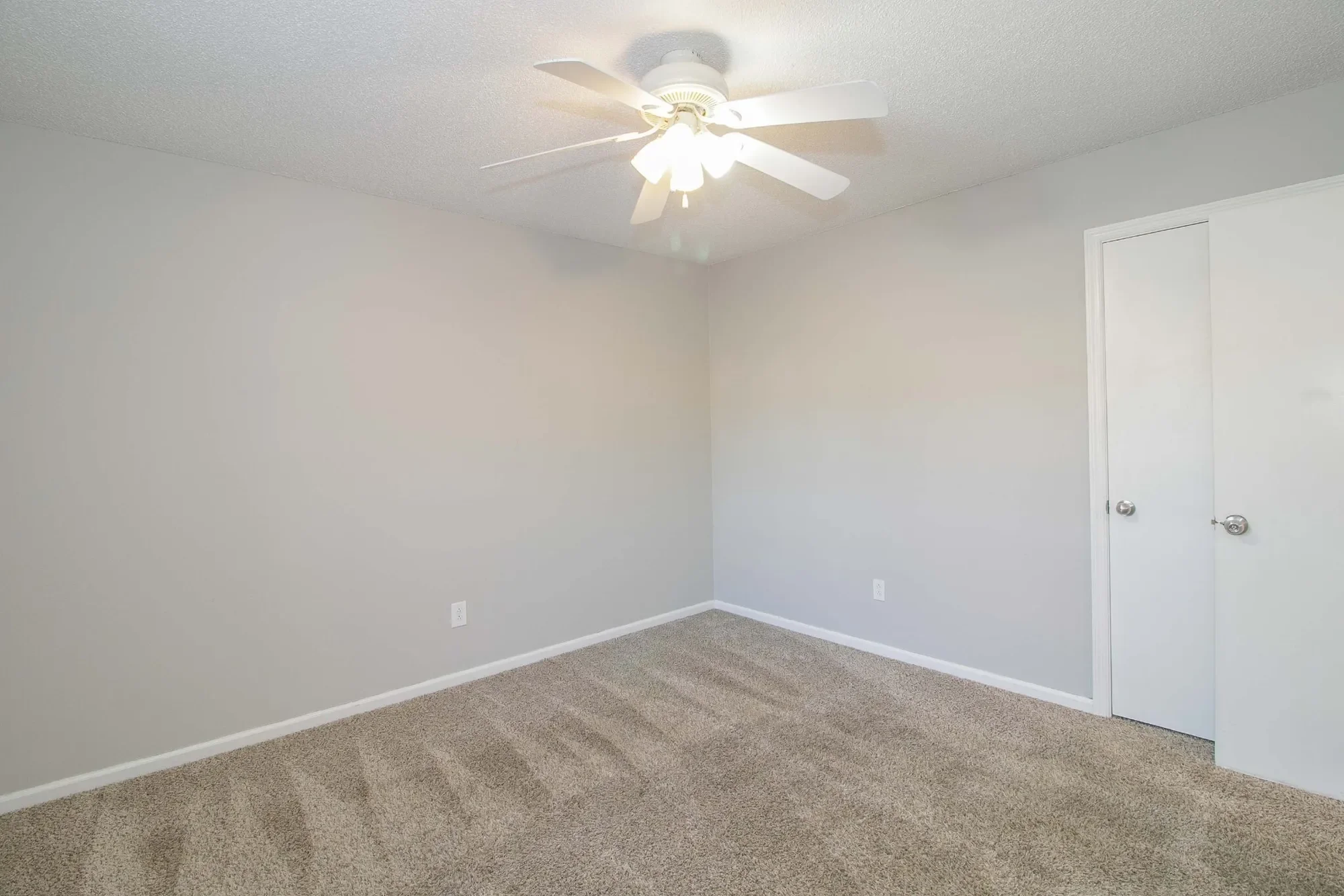 Gallery photo 10