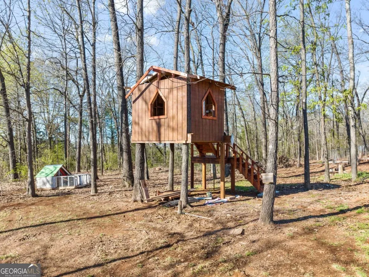 Carnesville, Georgia, United States. - Photo 39