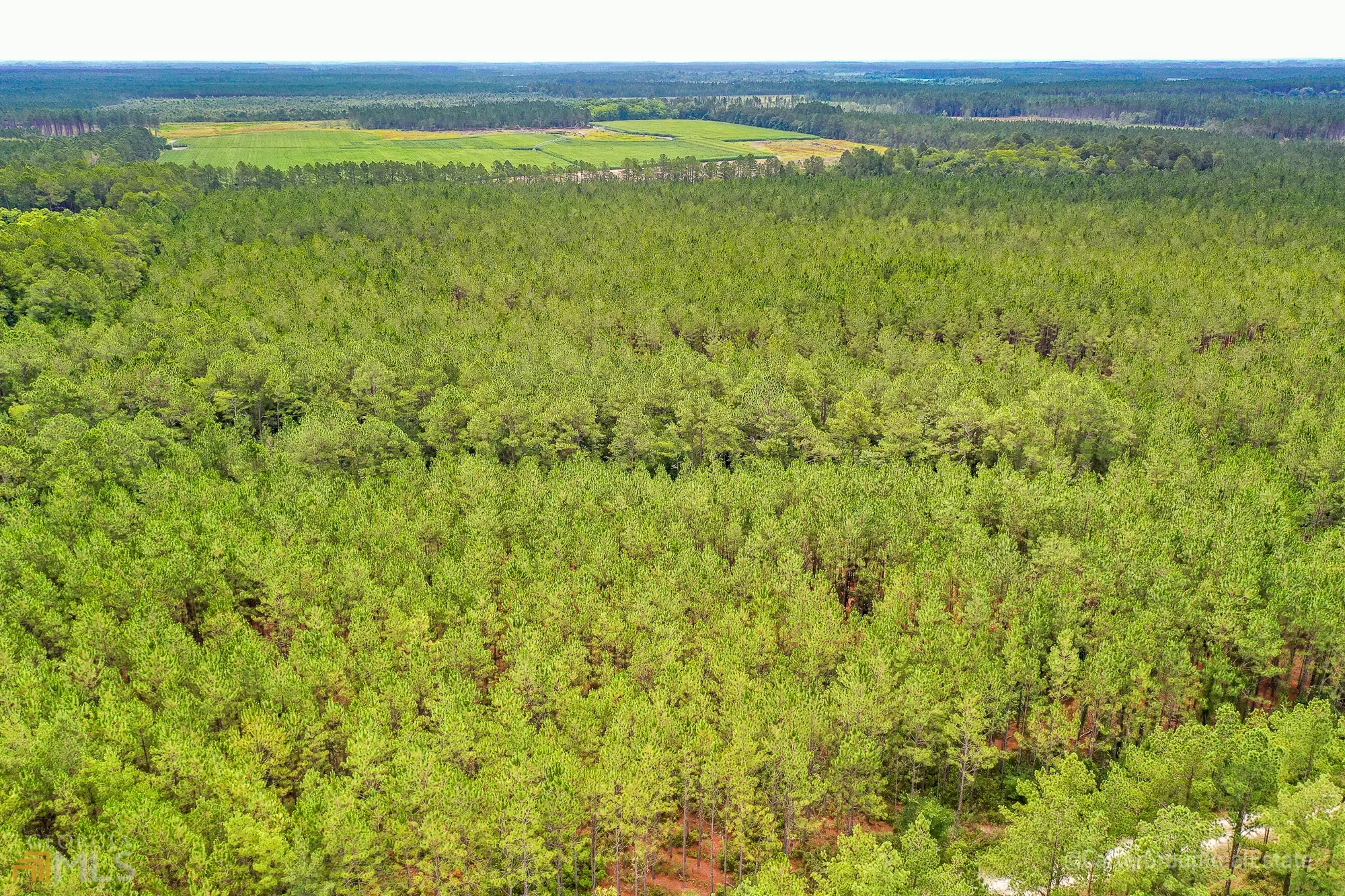 0 Miller Hayes Road, Waycross, GA 31503, Waycross, Georgia, United States. - Photo 15