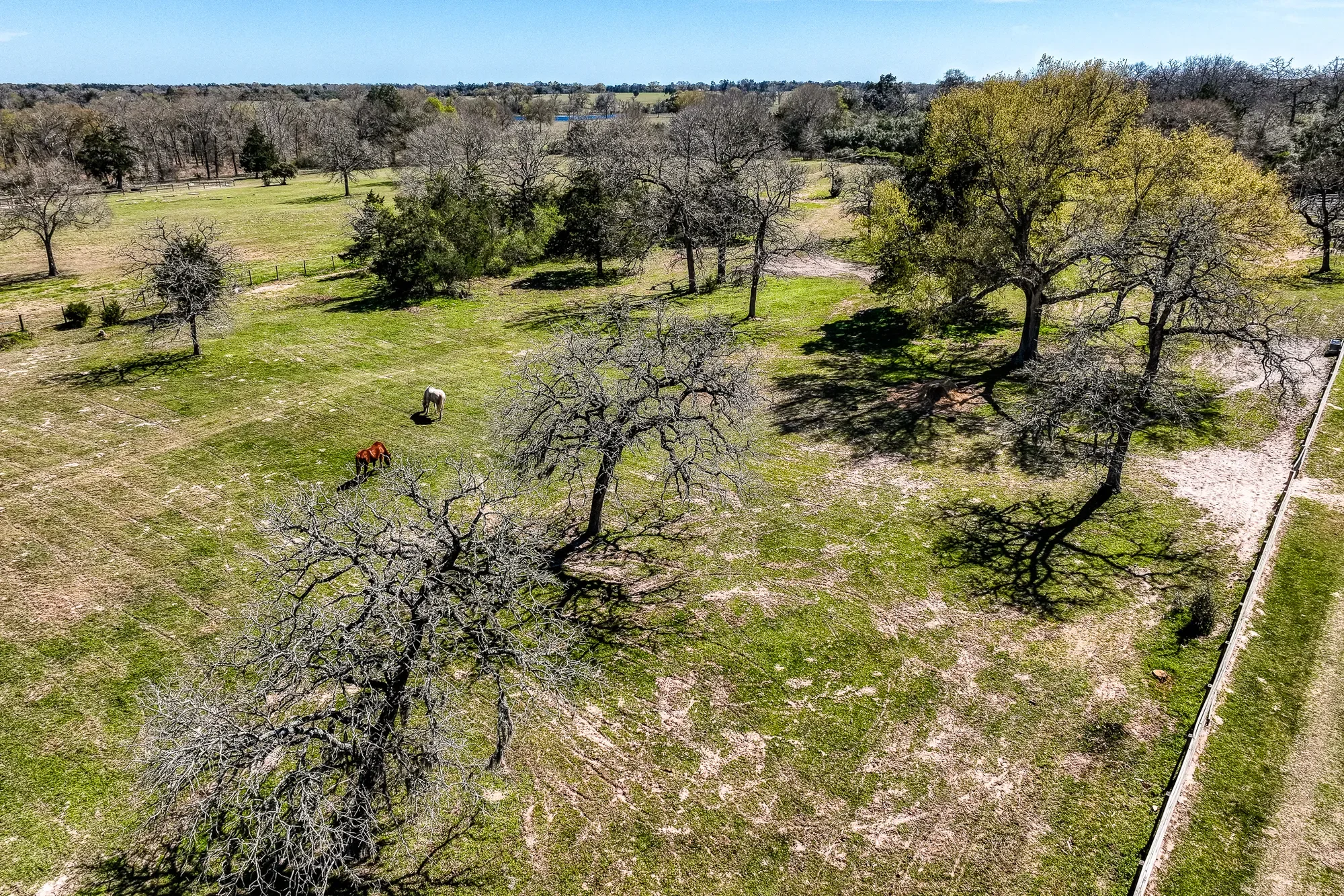 17677 Tranquil Ln , Cat Spring, TX 78933, Cat Spring, Texas, United States. - Photo 34