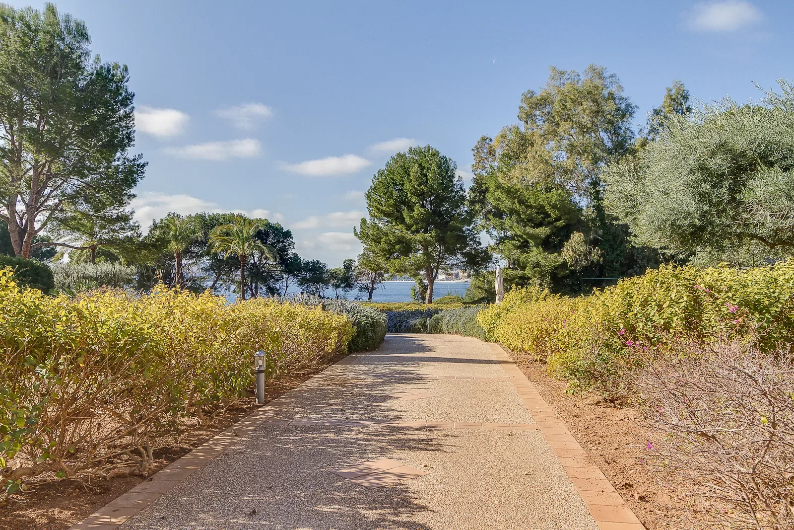 07181 Punta Negra, Illes Balears, Spain, Calvia, Balearic Islands, Spain. - Photo 26