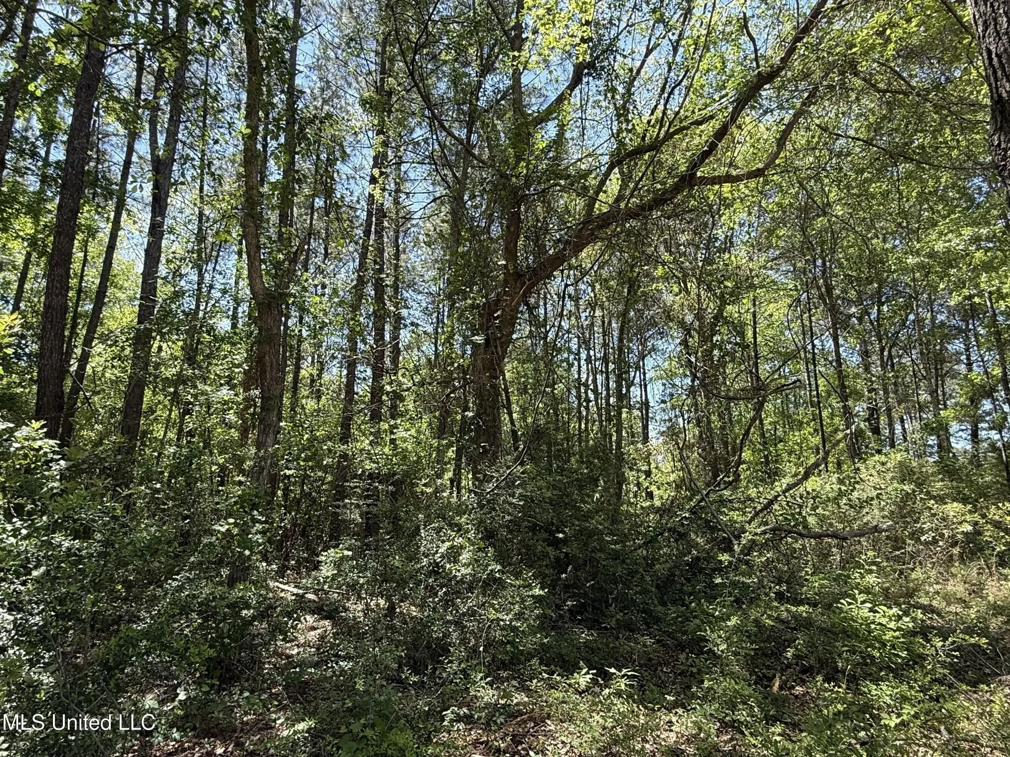 7701 Bienville Boulevard lot: 90 90, Ocean Springs, MS 39564, Ocean Springs, Mississippi, United States. - Photo 16