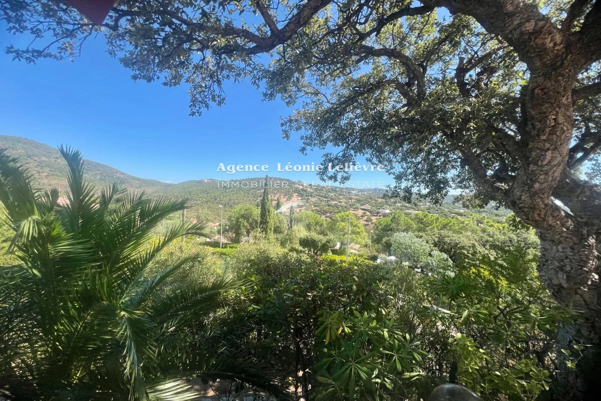 Roquebrune-sur-Argens, Provence-Alpes-Côte d'Azur, France. - Photo 11