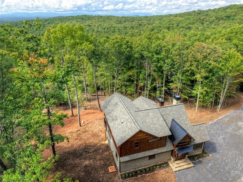 67 Antler Way, Morganton, Georgia, United States. - Photo 42