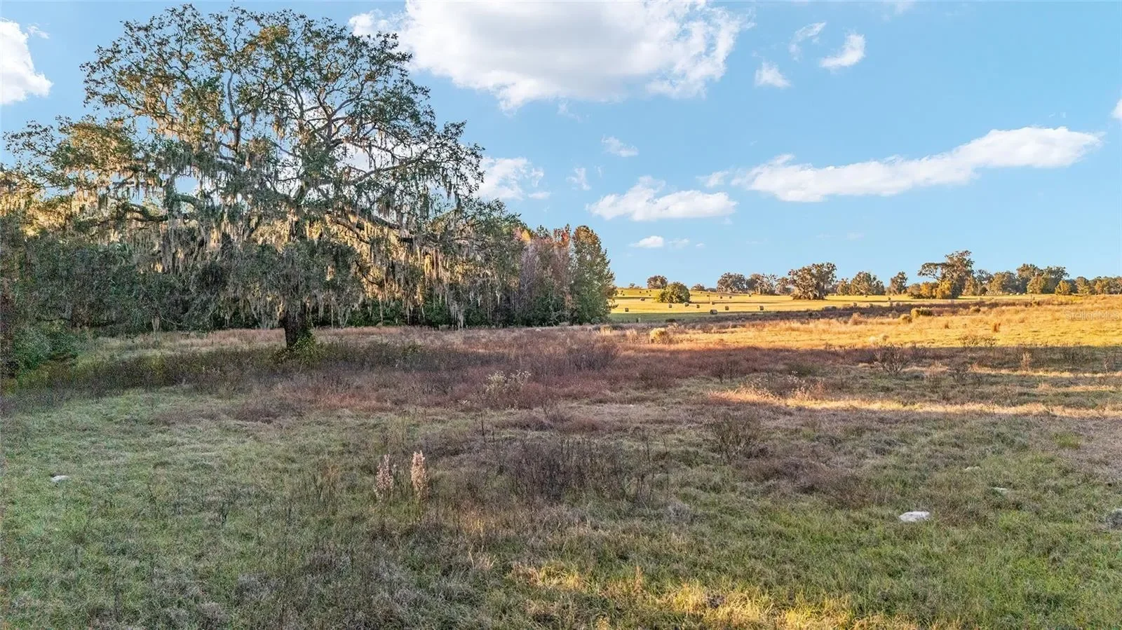 TBD SE 28TH TERRACE ROAD, Belleview, Florida, United States. - Photo 14