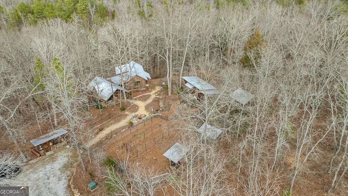 Bowman, Georgia, United States. - Photo 44