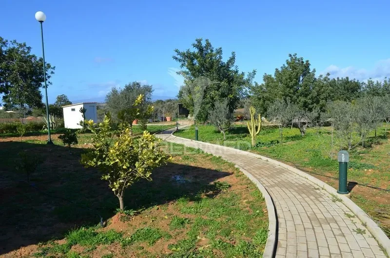 Guia, Algarve, Portugal. - Photo 12