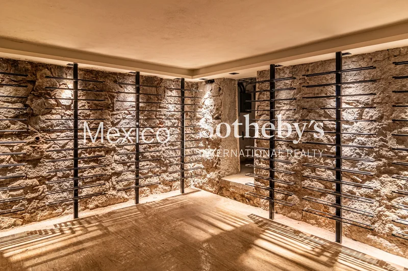 Anzures Thiers, Mexico City, 11590, Mexico City, Mexico. - Photo 23