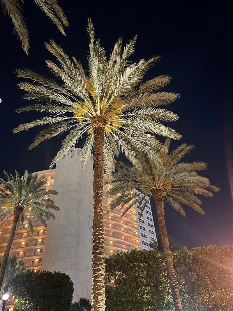 4100 Galt Ocean Dr #306, Fort Lauderdale, FL 33308, Fort Lauderdale, Florida, United States. - Photo 60