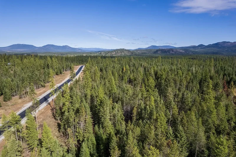 Lot10 BLK2 Leonard Loop, Athol, ID 83801, Moscow, Idaho, United States. - Photo 30