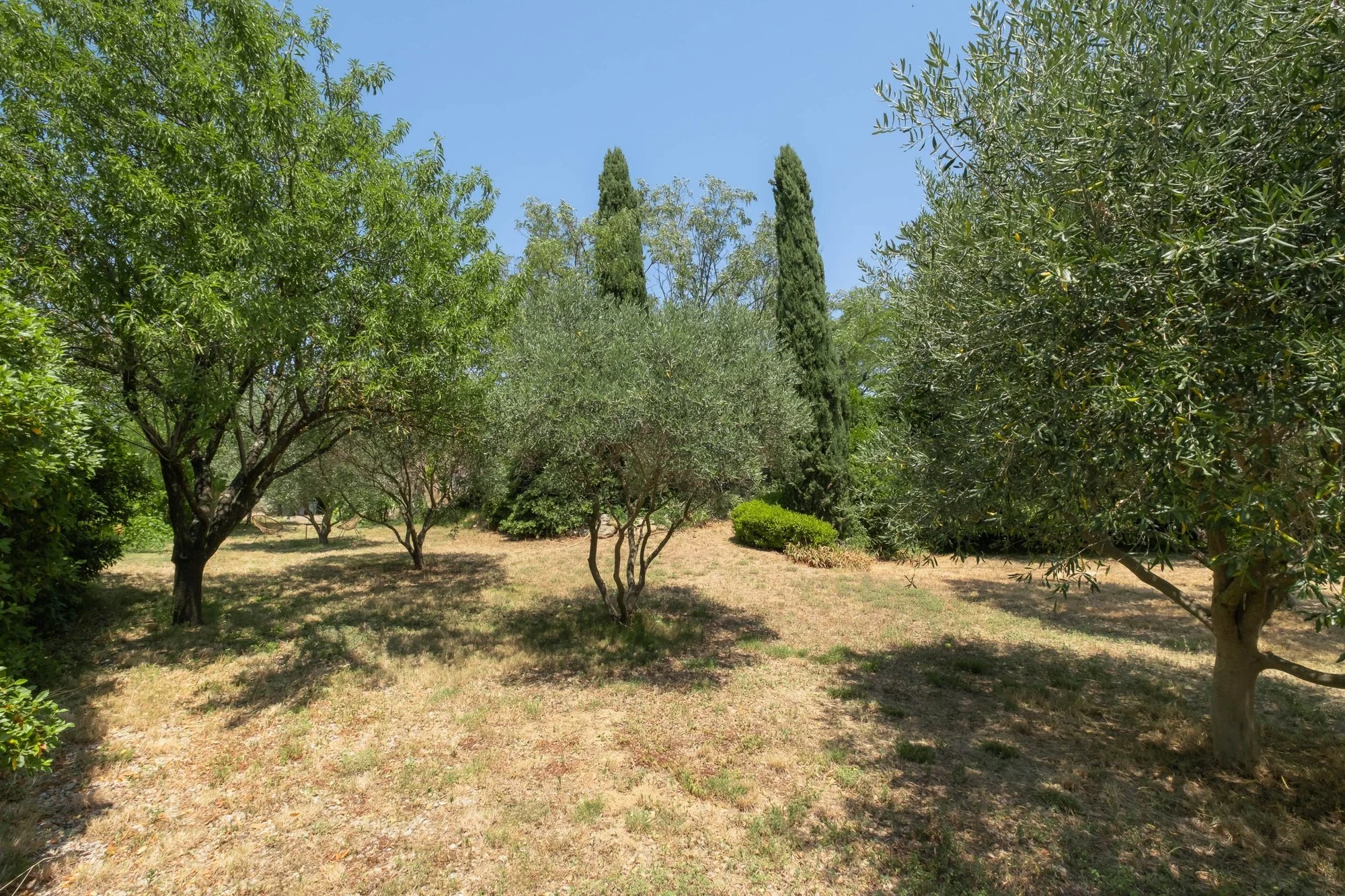 Exterior photo 11