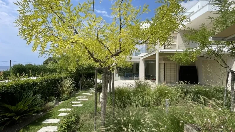 Gallery photo 9