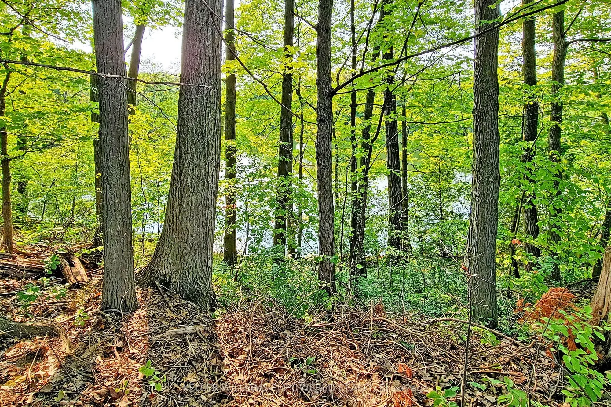 16 Bayview Park Lane, Richmond Hill, ON L4E 4K7, Gormley, Ontario, Canada. - Photo 16