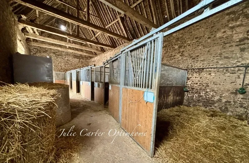 Avoine, Normandy, France. - Photo 21