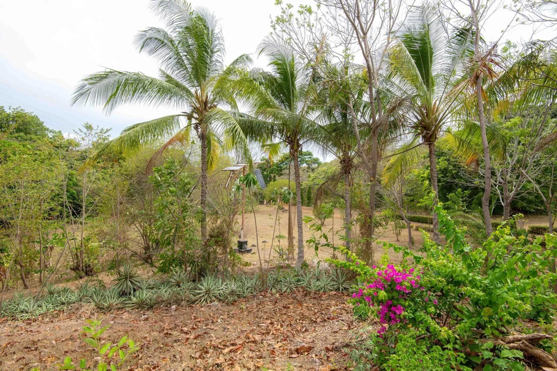 Chame AVENIDA PRINCIPAL, CABUYA, CHAME, Cabuya, Provincia de Panamá Oeste, Panama. - Photo 15
