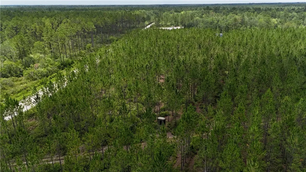 0 Fire Tower Road, Manor, GA 31550, Manor, Georgia, United States. - Photo 4