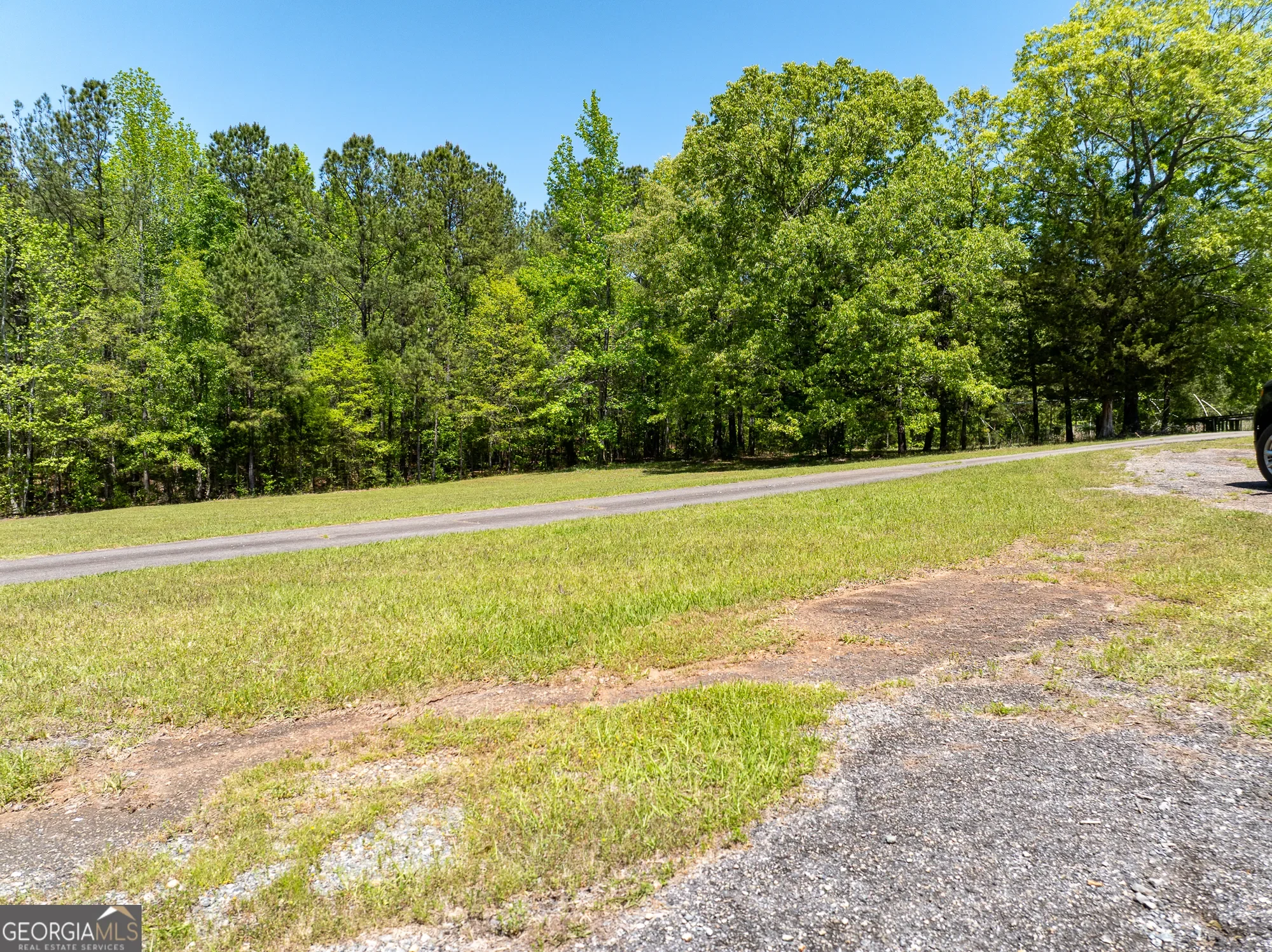 Shiloh, Georgia, United States. - Photo 52