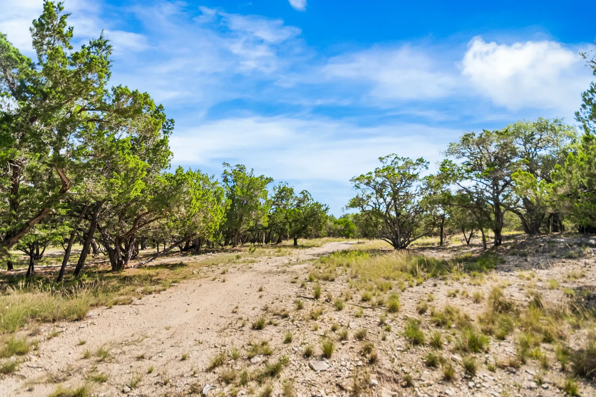 4366 Whartons Dock Road , Bandera, TX 78003, Bandera, Texas, United States. - Photo 66