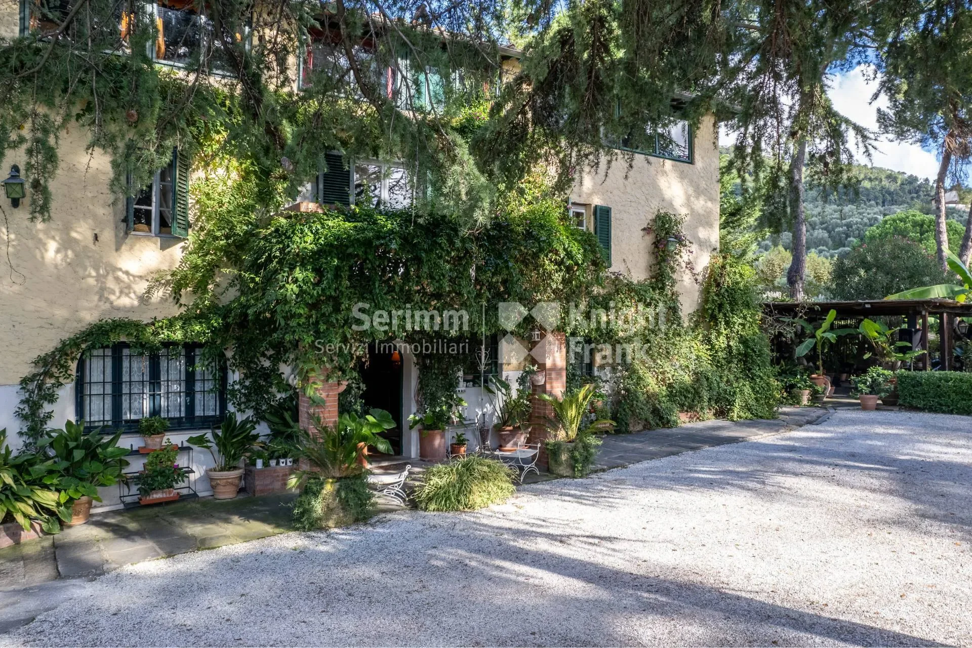 Camaiore, Camaiore, Tuscany, Italy. - Photo 51