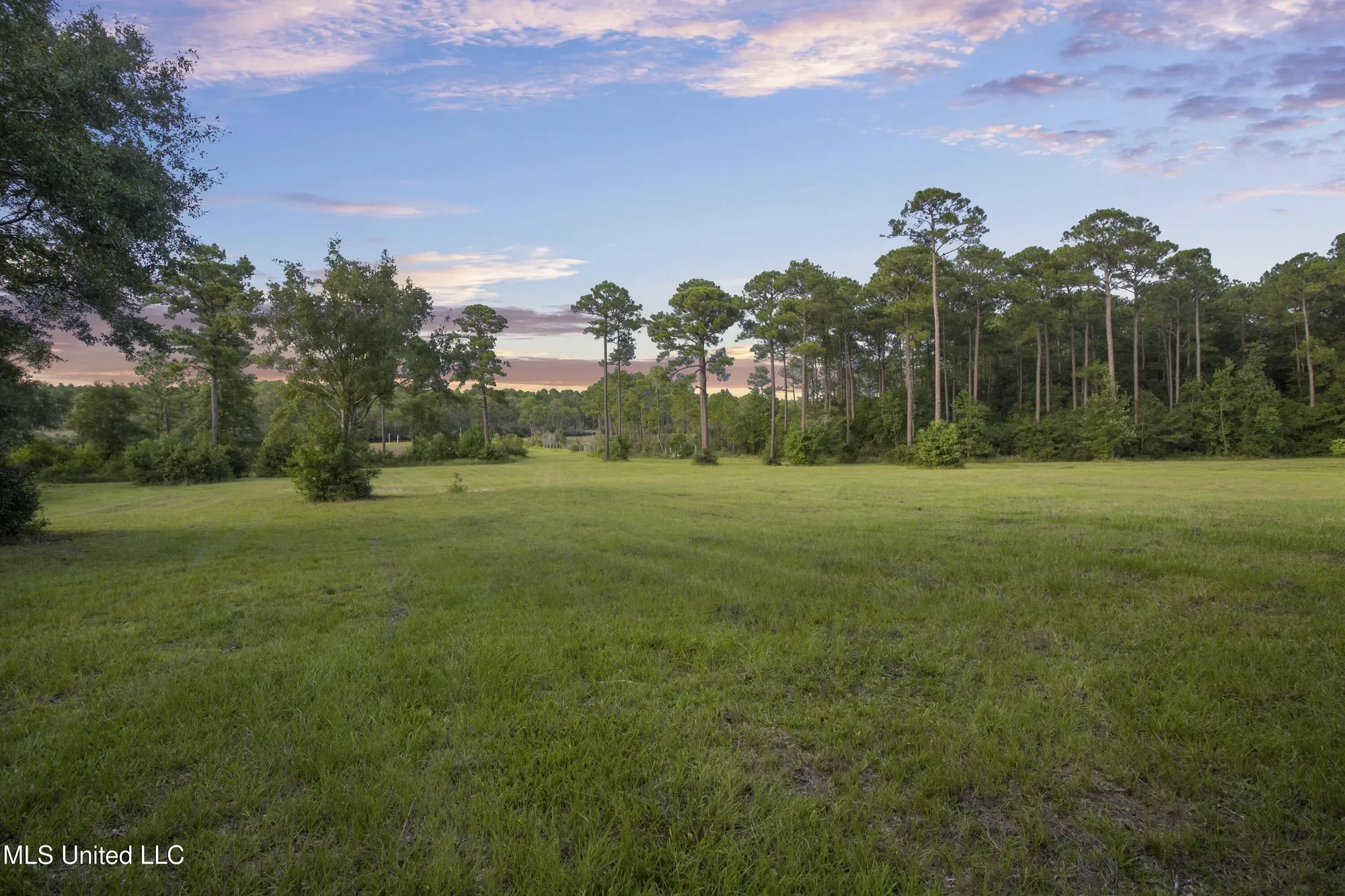 8.13 Acres Dixie Street, Ocean Springs, MS 39564, Ocean Springs, Mississippi, United States. - Photo 11