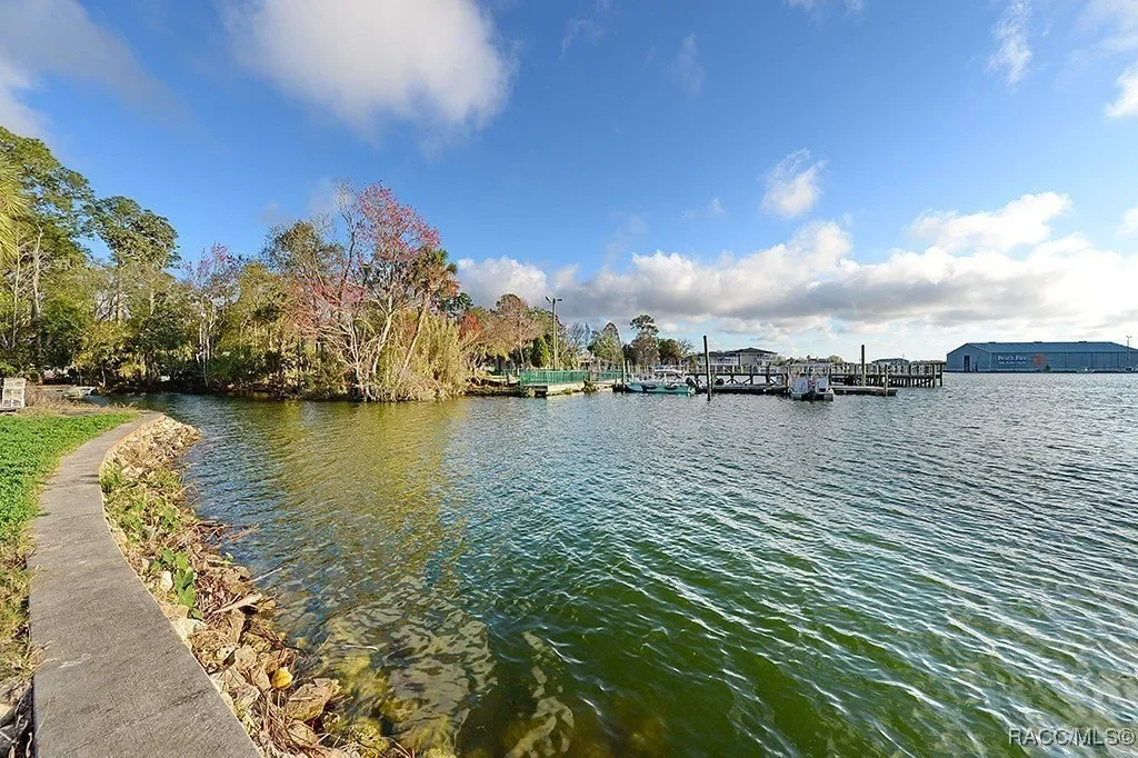 1154 NE 1st Street, Crystal River, FL 34429, Crystal River, Florida, United States. - Photo 38