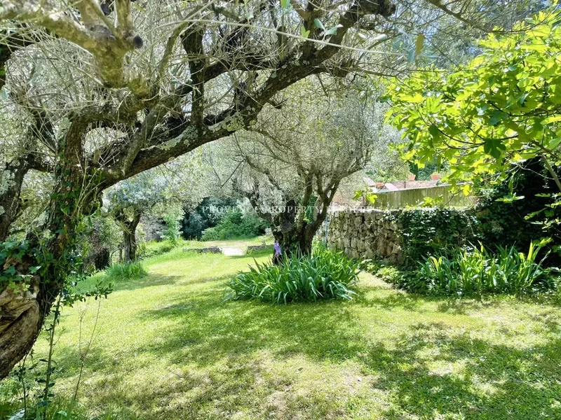 Salernes, Provence-Alpes-Côte d'Azur, France. - Photo 34