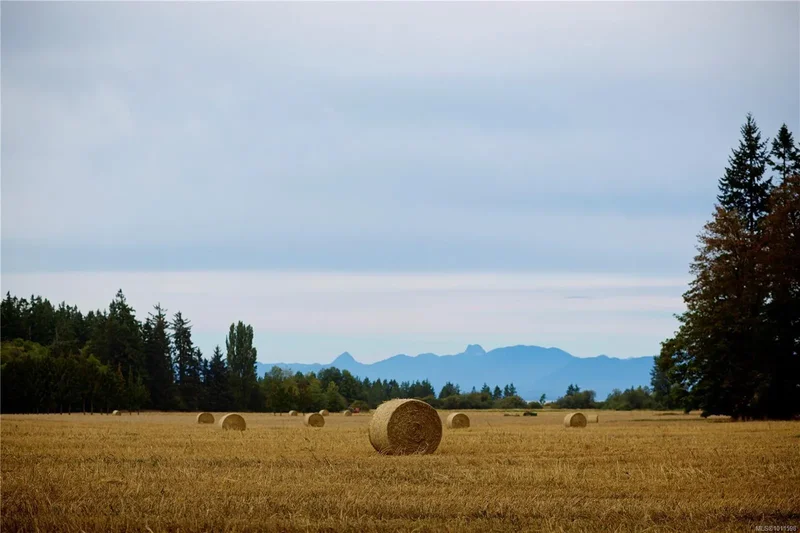 4692 Regent Rd, Comox, British Columbia, Canada. - Photo 15