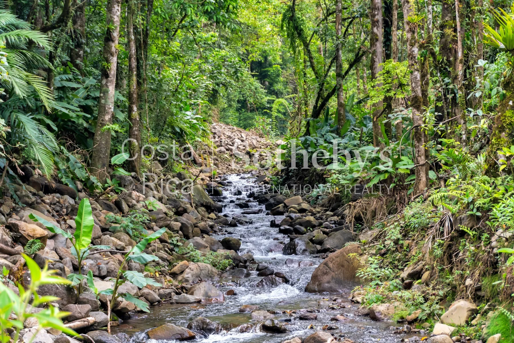 Gallery photo 11