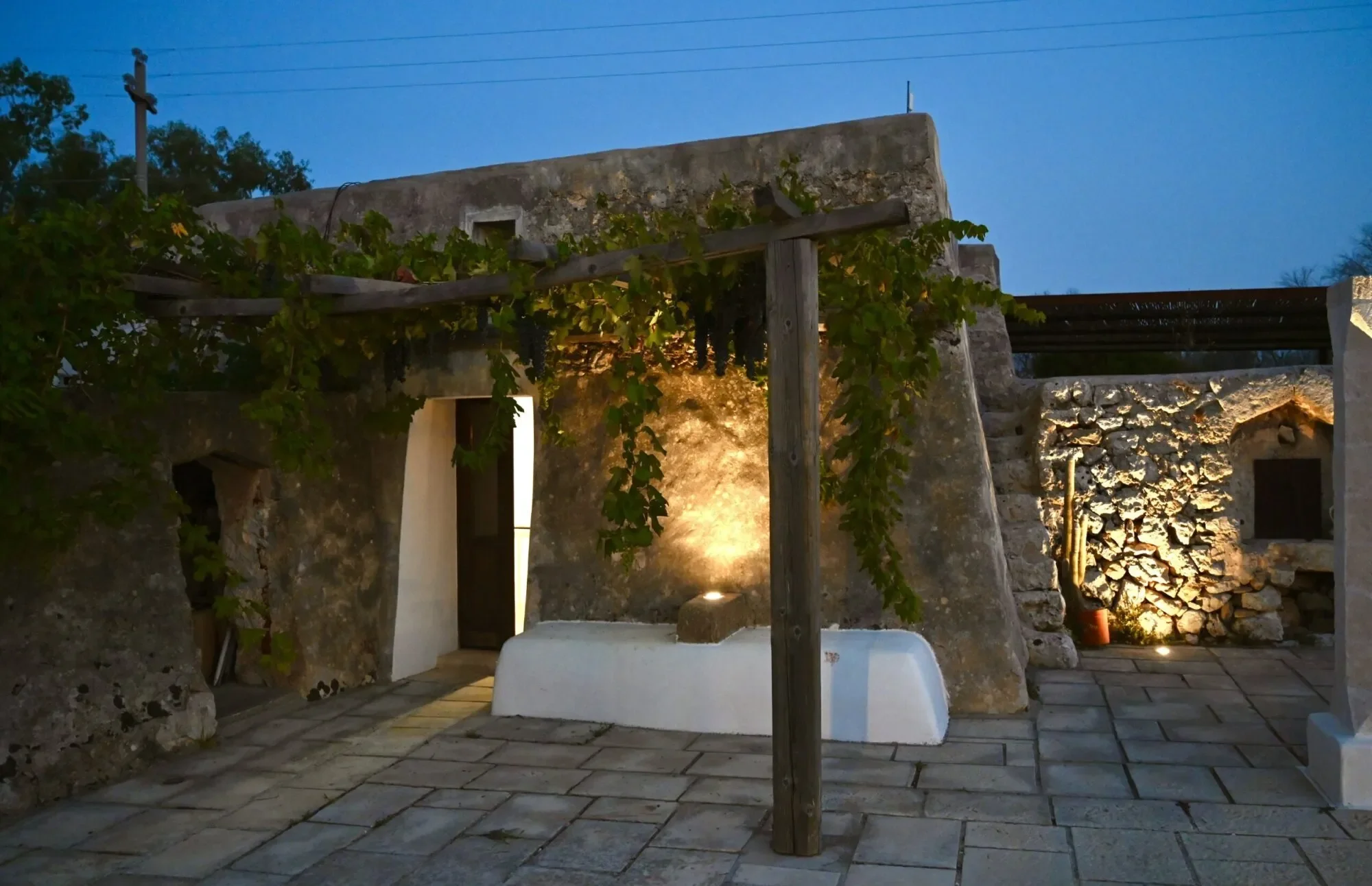 Gallery photo 7