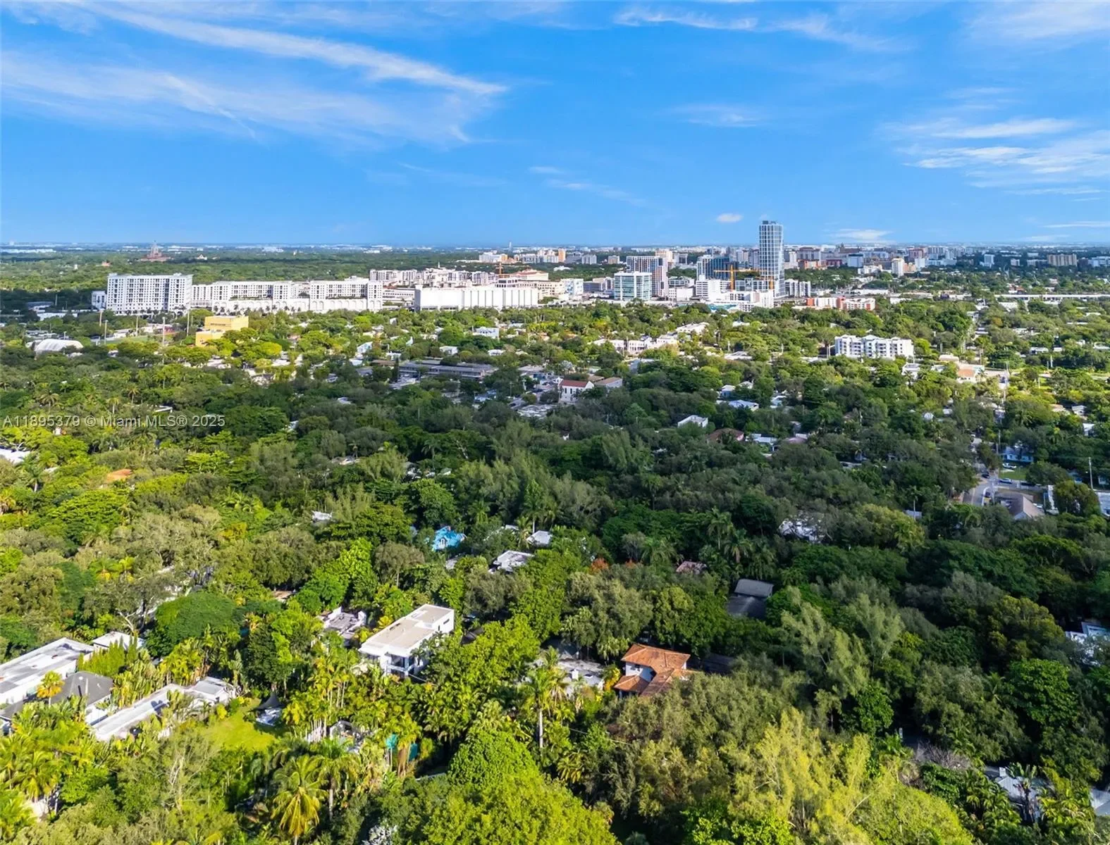 3610 Avocado Ave, Miami, Florida, United States. - Photo 37