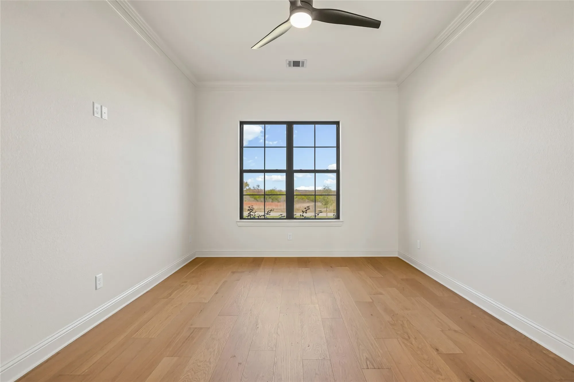 Gallery photo 2