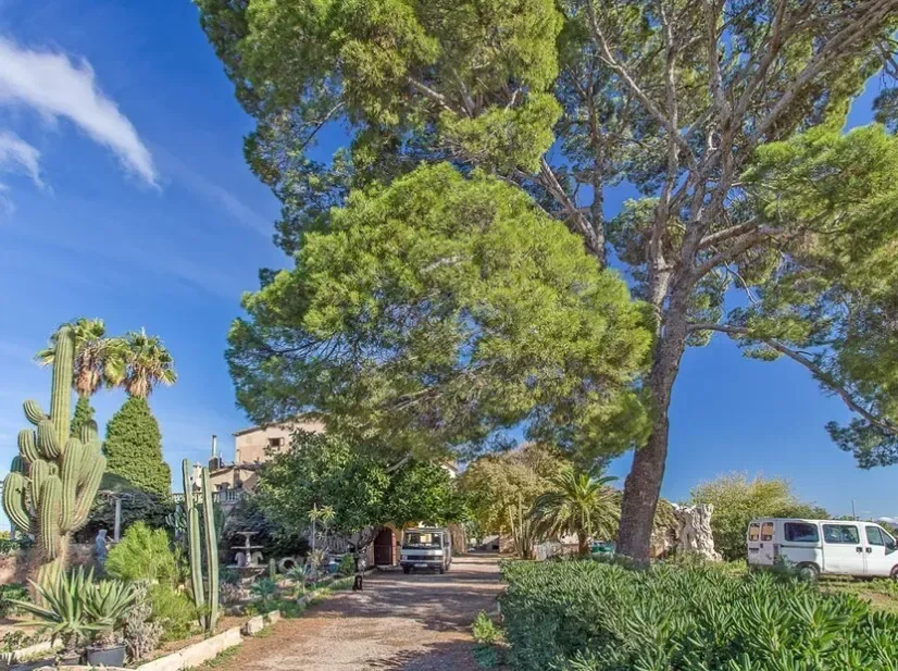 Baleares, Marratxi, Balearic Islands, Spain. - Photo 1