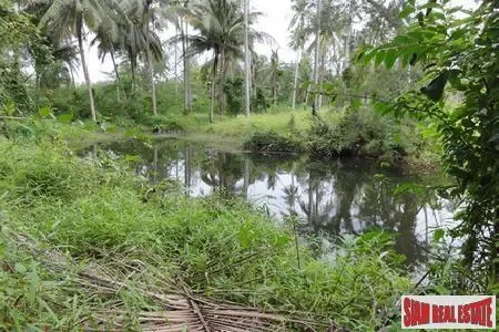 Plots of Land for Sale in Khao Lak with Road Access of Tarmac