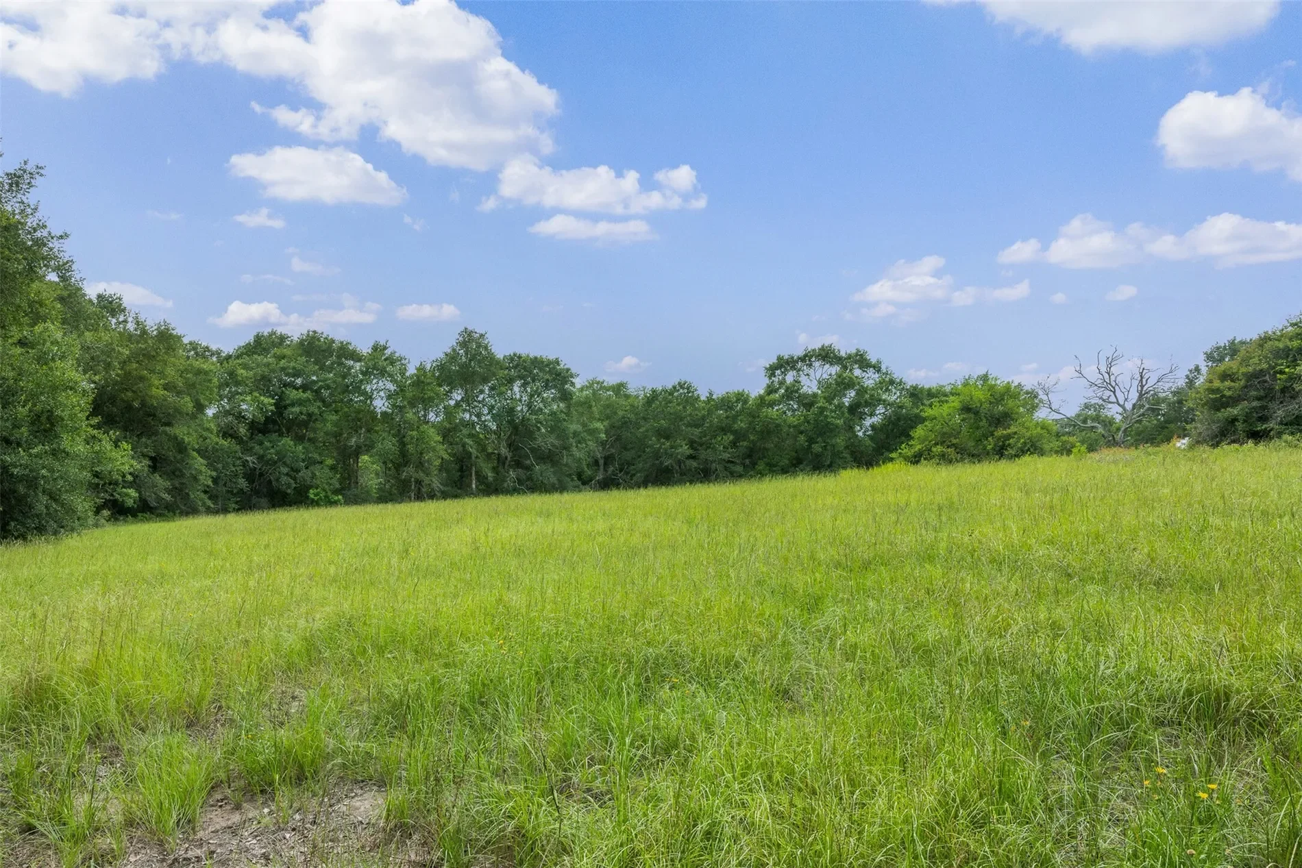 7602 Rose Lane, Sealy, TX 77474, Sealy, Texas, United States. - Photo 10