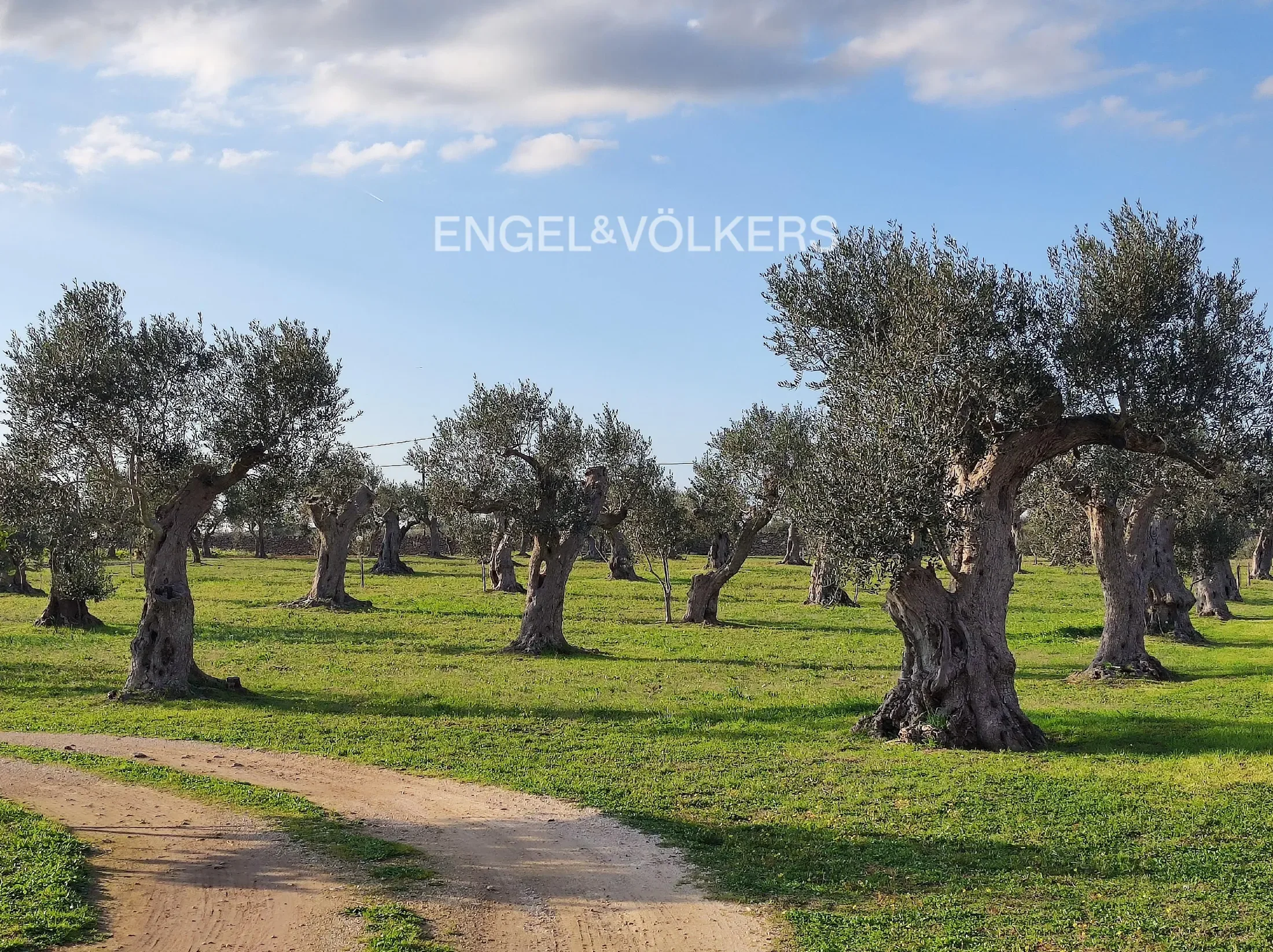 Via Comunale Petrone Pleggi, 251, 73022 Corigliano d'Otranto LE, Italy, Apulia, Italy. - Photo 10