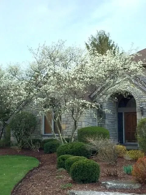 211 Crossing Creek N, Gahanna, OH 43230, Gahanna, Ohio, United States. - Photo 61